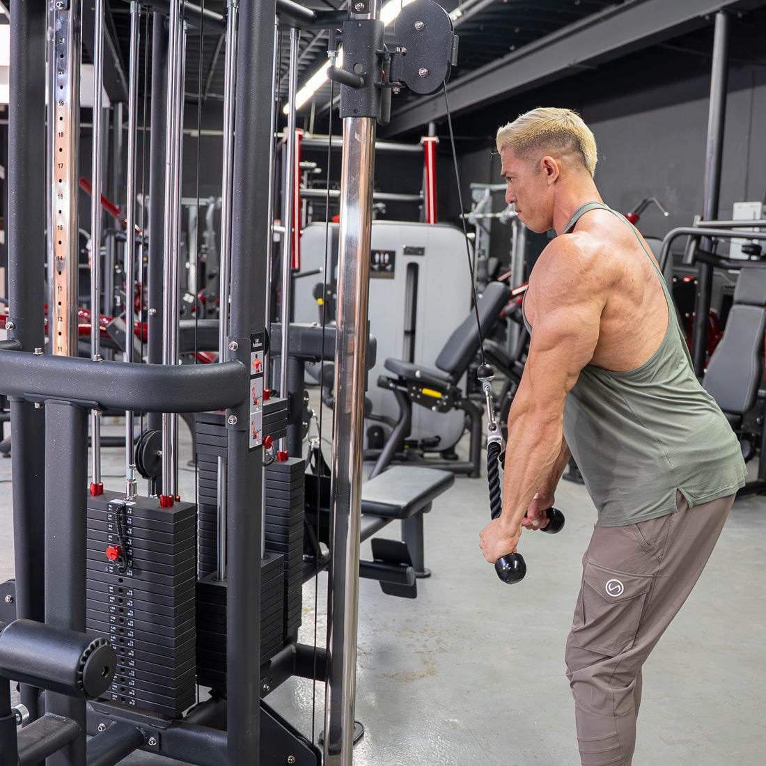 4 Stack Megatron Standard Jungle Gym - 2 Colors - Muscle D Fitness - Low Row, Lat Pulldown, Single Handle Hi/low Pulley, Double Hi/Low Pulley - Machine Horizon 4 Stack Megatron Standard Jungle Gym - 2 Colors - Muscle D Fitness - Low Row, Lat Pulldown, Single Handle Hi/low Pulley, Double Hi/Low Pulley - Machine Horizon