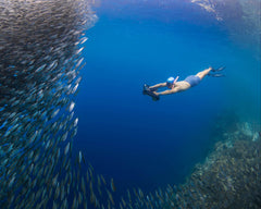 Sublue Navbow - Machine Horizon