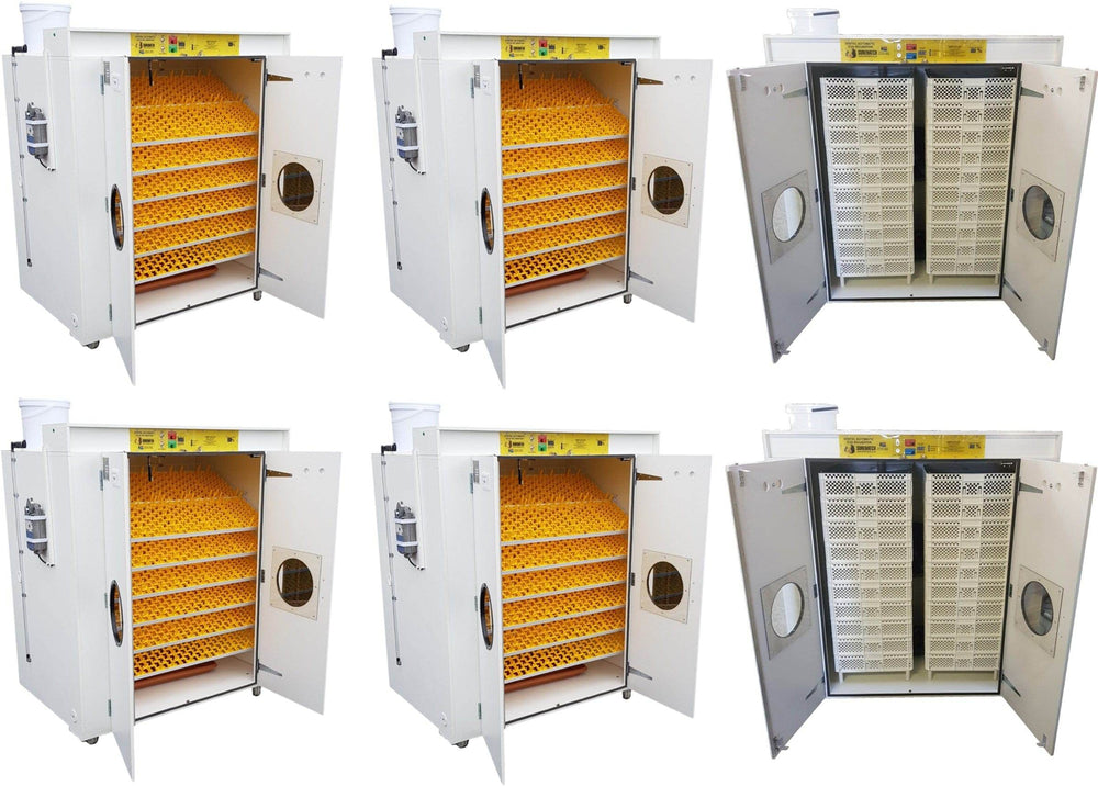 12000 Egg Hatchery - Produce 2880 chicks per week - SH12000 Chick Hatchery - Machine Horizon