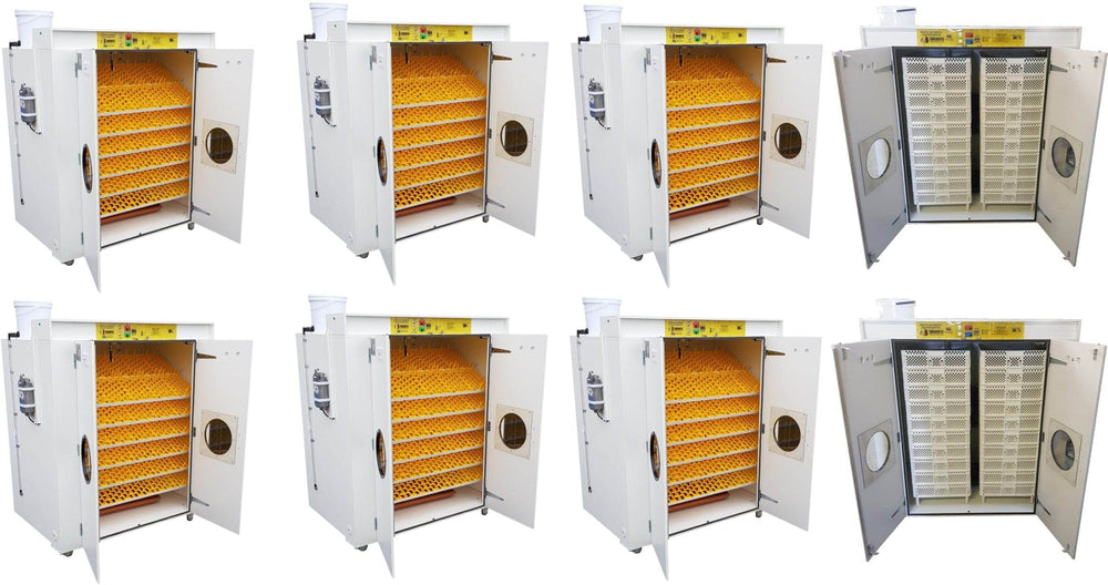 16000 Egg Hatchery - Produce 4320 chicks per week - SH16000 Chick Hatchery - Machine Horizon