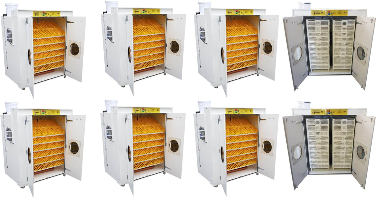 16000 Egg Hatchery - Produce 4320 chicks per week - SH16000 Chick Hatchery - Machine Horizon