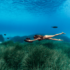 Sublue Vapor - Machine Horizon