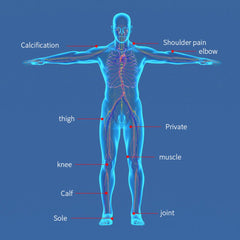 Shape Tactics High-Performance Shockwave Therapy Device