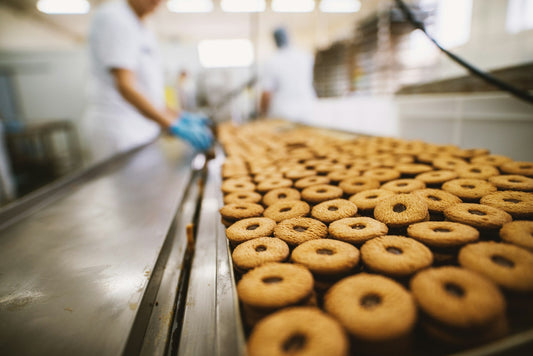 Food Processing Equipment