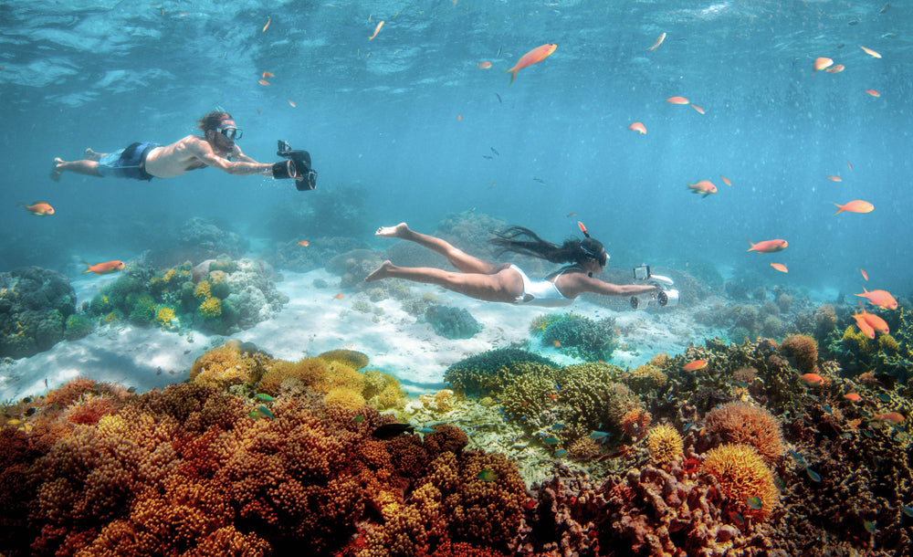 Sublue MixPro - Machine Horizon