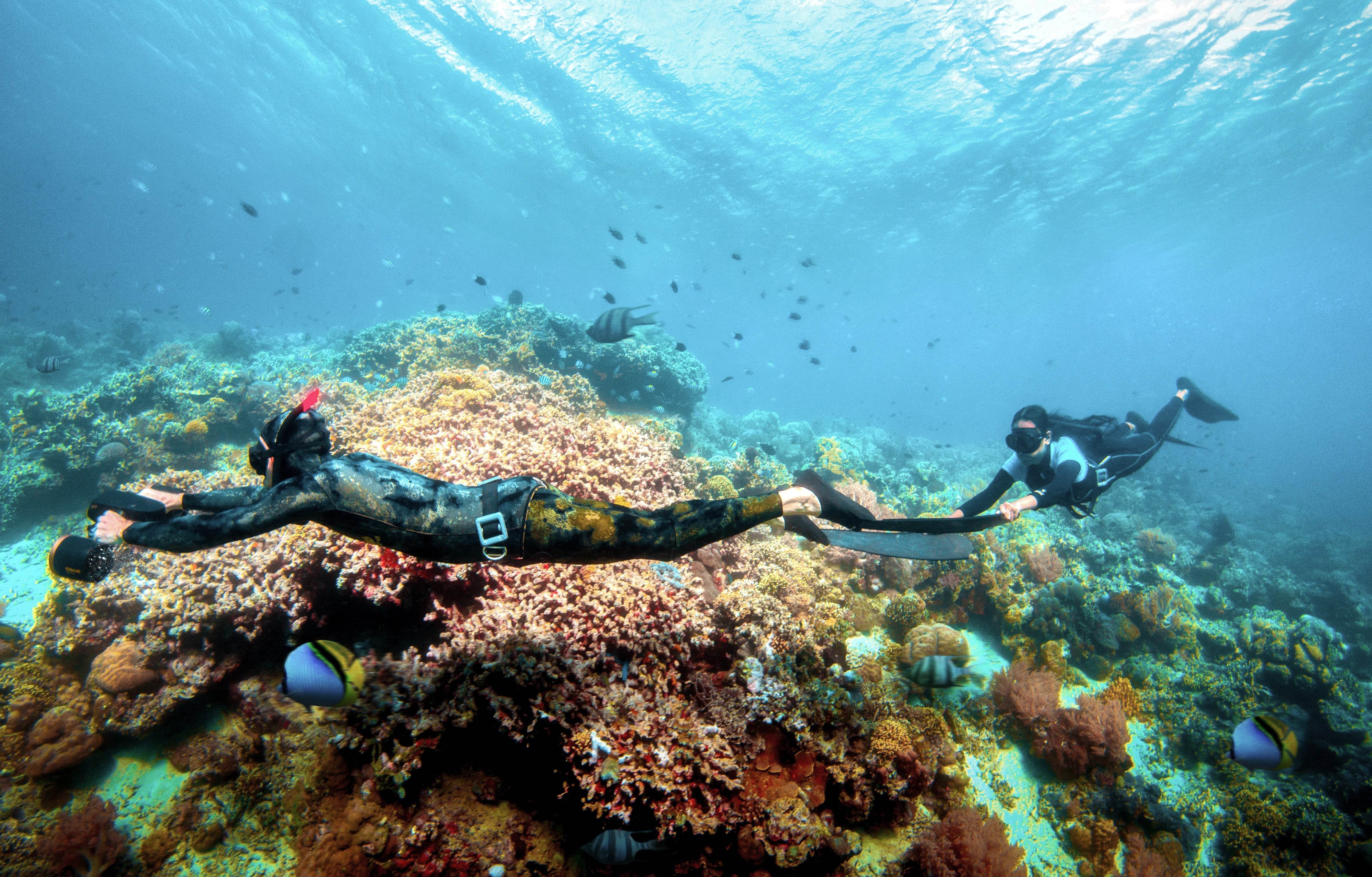 Sublue MixPro - Machine Horizon