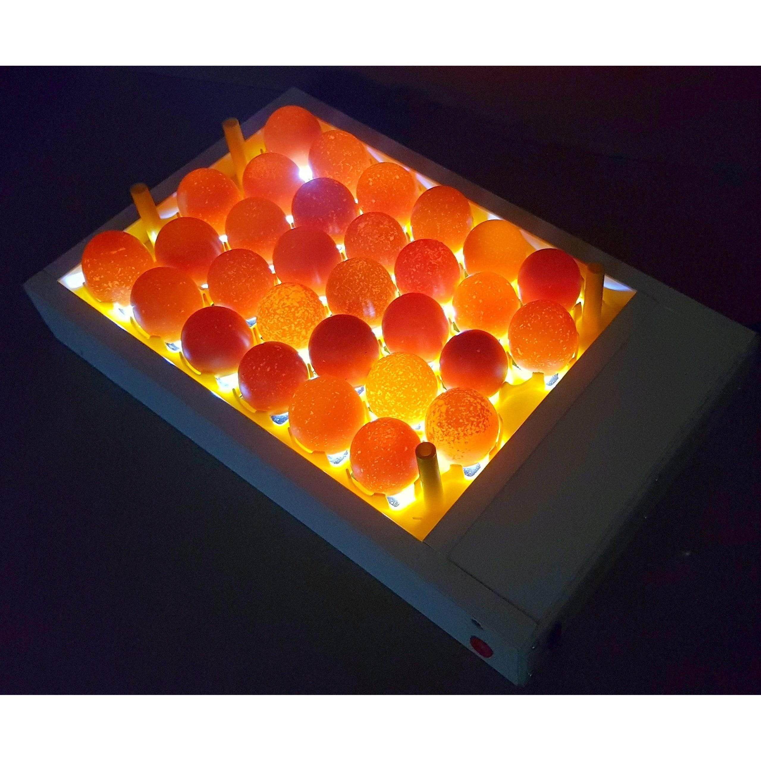 Egg Fertility Tester (Egg Candler) for 30 Chicken Eggs - SureView - Machine Horizon