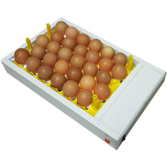 Egg Fertility Tester (Egg Candler) for 30 Chicken Eggs - SureView - Machine Horizon