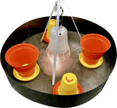 SureGrow 100 Chick Brooder - Infrared Electric Brooder - Machine Horizon