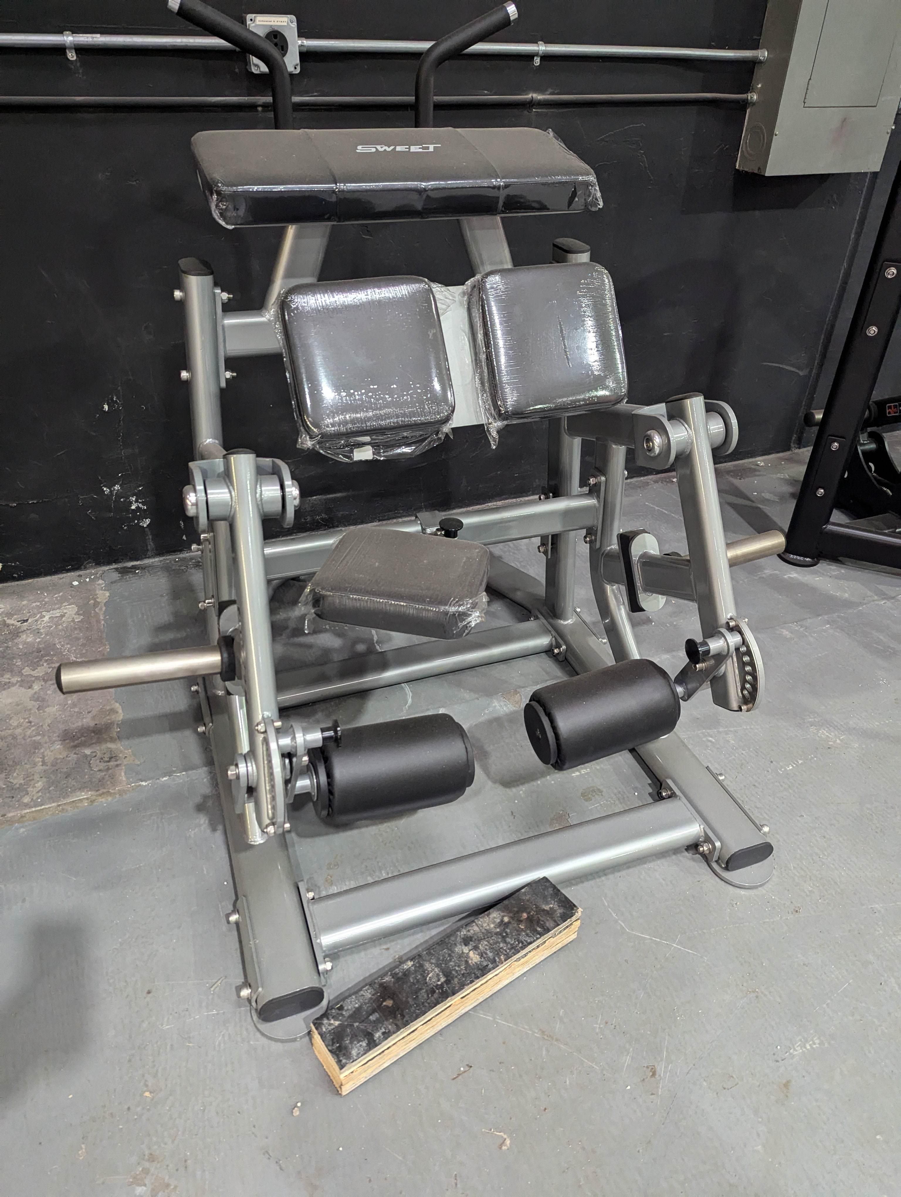 Sweet Kneeling Leg Curl - Silver - Machine Horizon