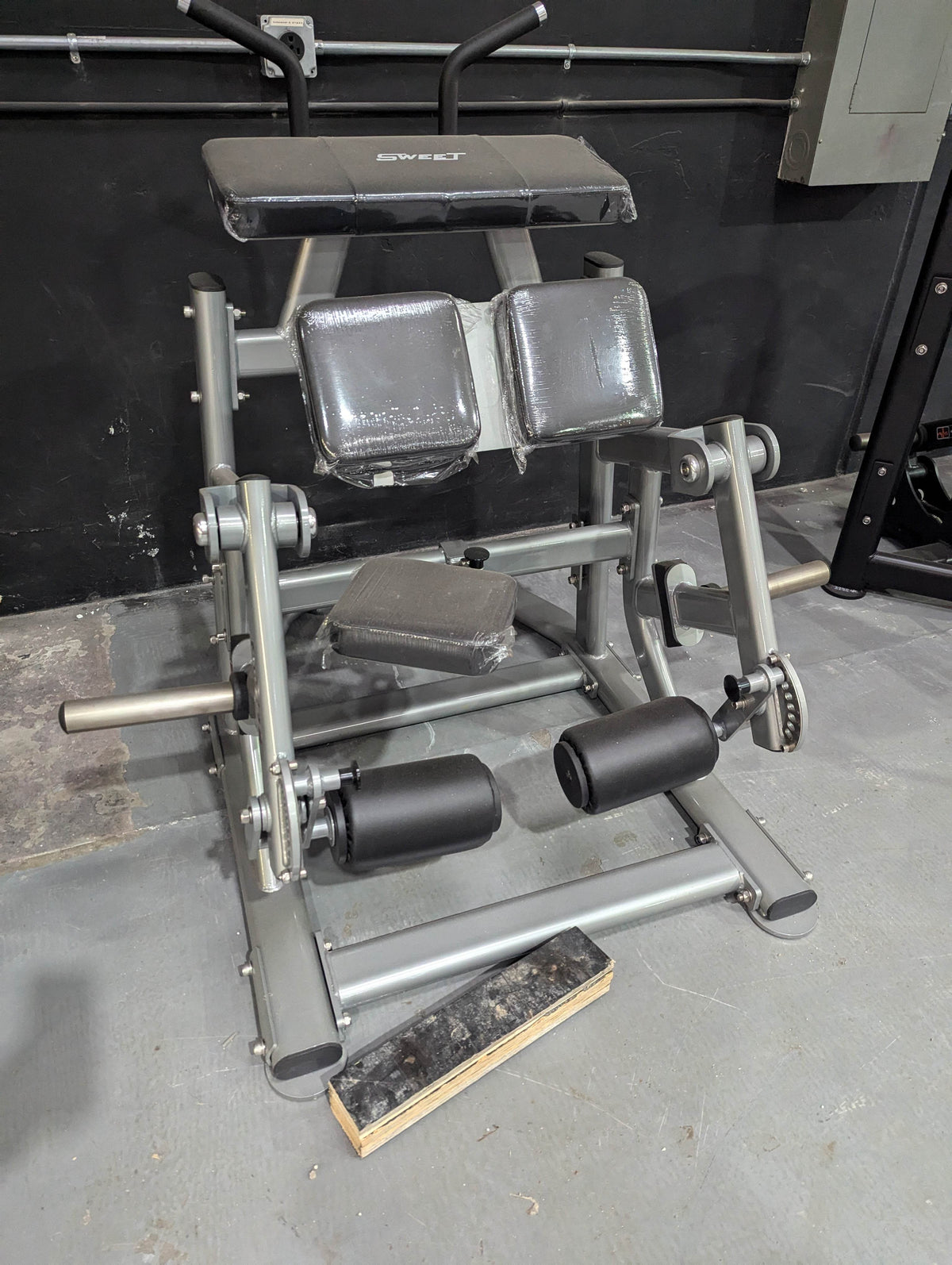 Sweet Kneeling Leg Curl - Silver - Machine Horizon