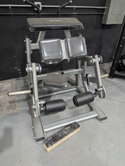Sweet Kneeling Leg Curl - Silver - Machine Horizon