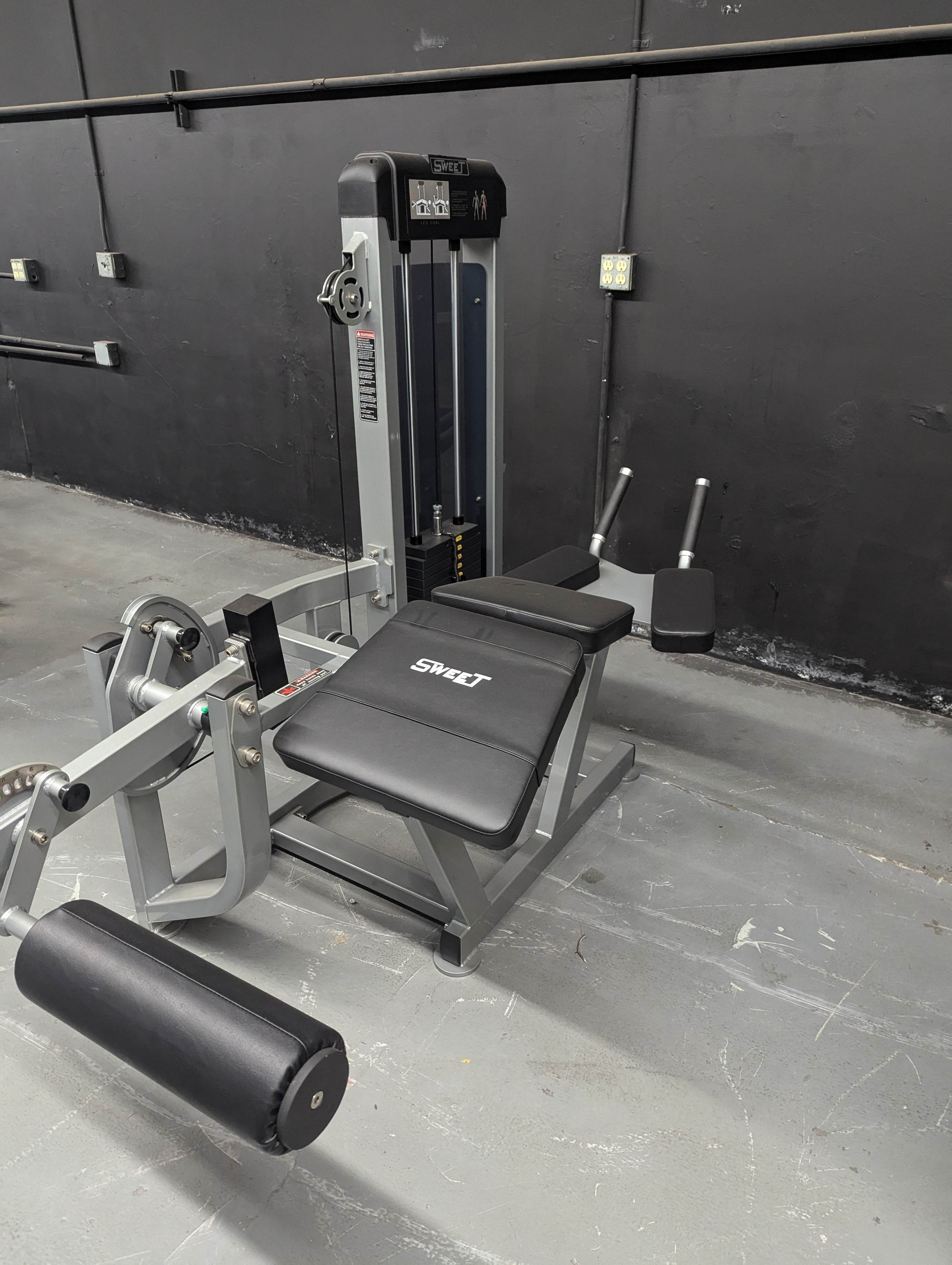 Sweet Prone Leg Curl - Machine Horizon