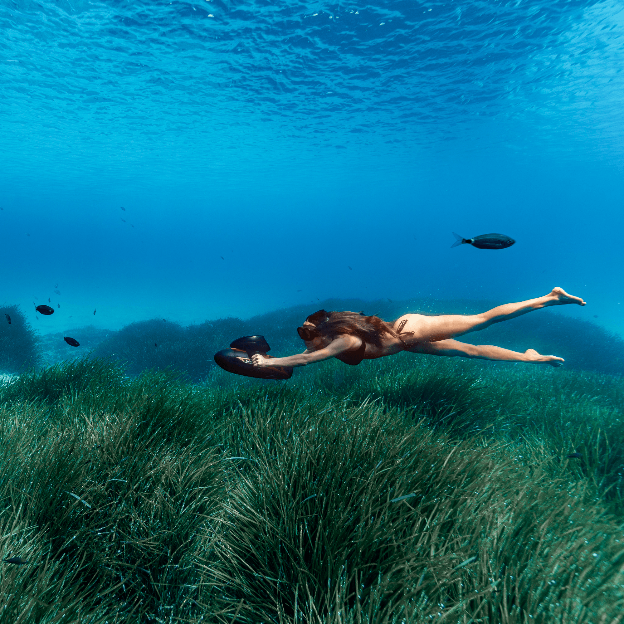 Sublue Vapor - Machine Horizon