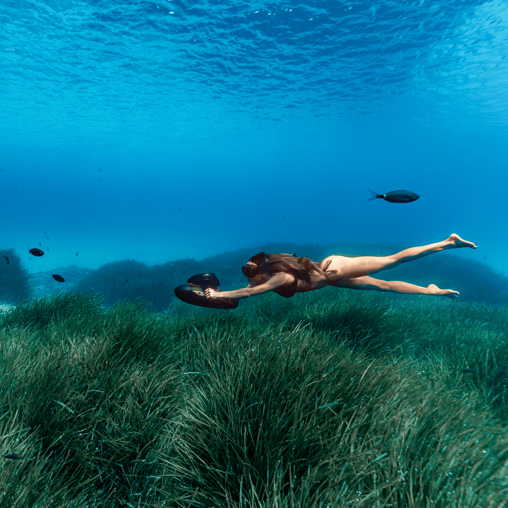 Sublue Vapor - Machine Horizon