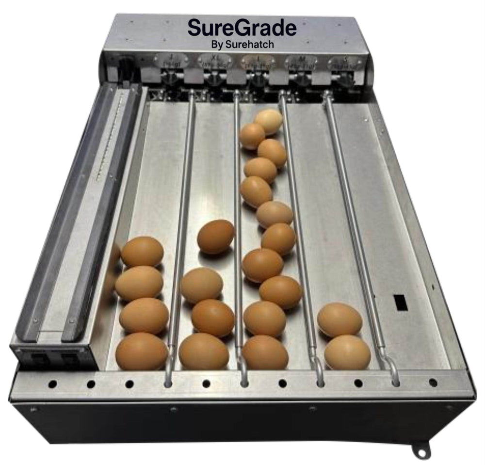 SureGrade 750 Egg Grader - Grade 750 Eggs per hour - Machine Horizon