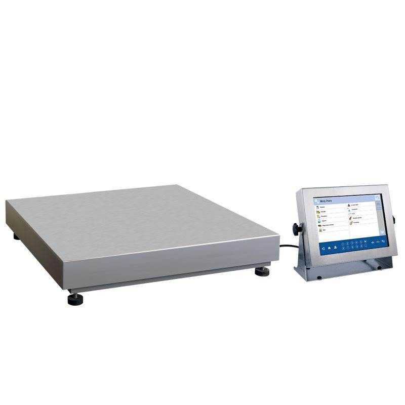 Radwag HY10.300.1.HRP.H High Resolution Scale, 300000 g Capacity, 2 g Readability - Machine Horizon